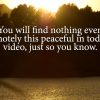 Safe Sunset